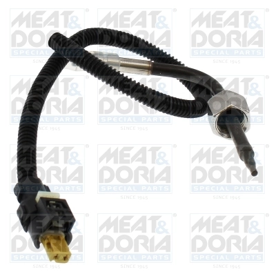 Sensor, exhaust gas temperature